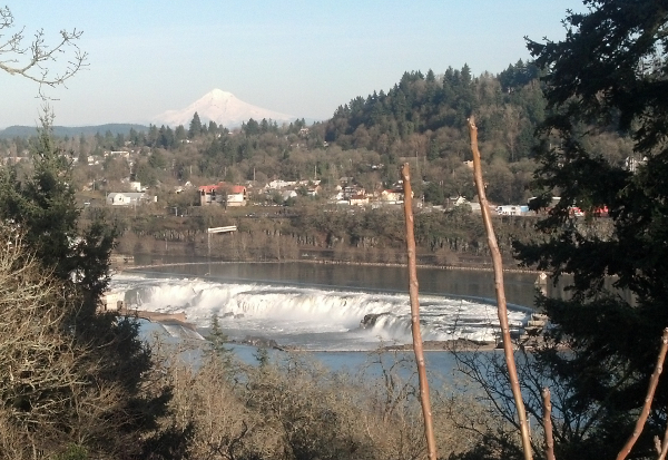 WillametteFalls600