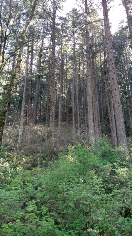 IMG_20160331_132336205