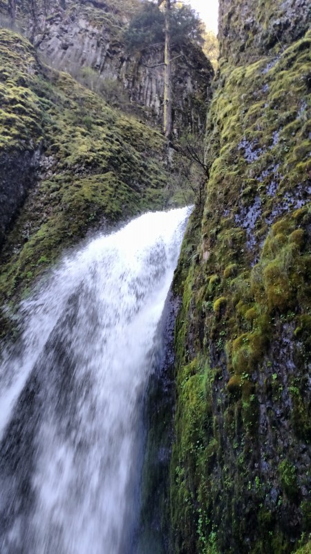 IMG_20160331_141736365