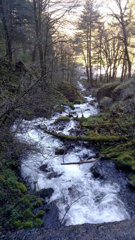 IMG_20160331_142151227