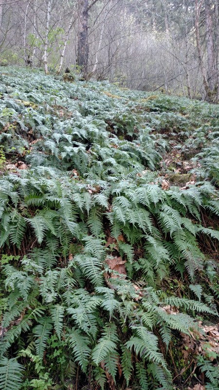 IMG_20160331_142634022