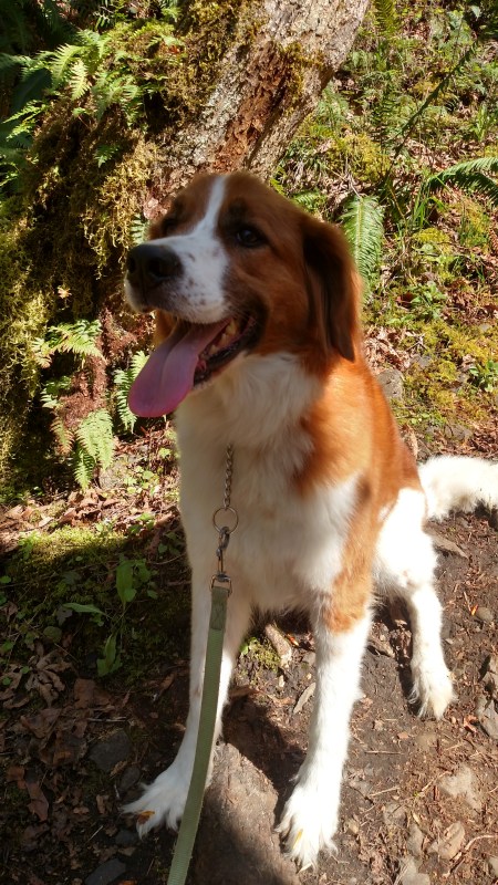 IMG_20160331_151027716_HDR