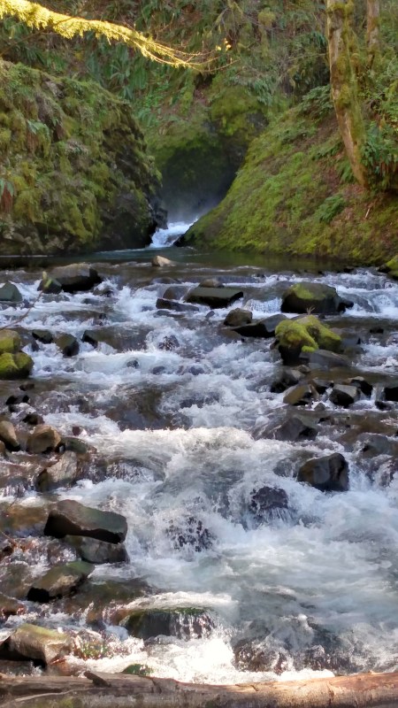 IMG_20160331_151530832_HDR