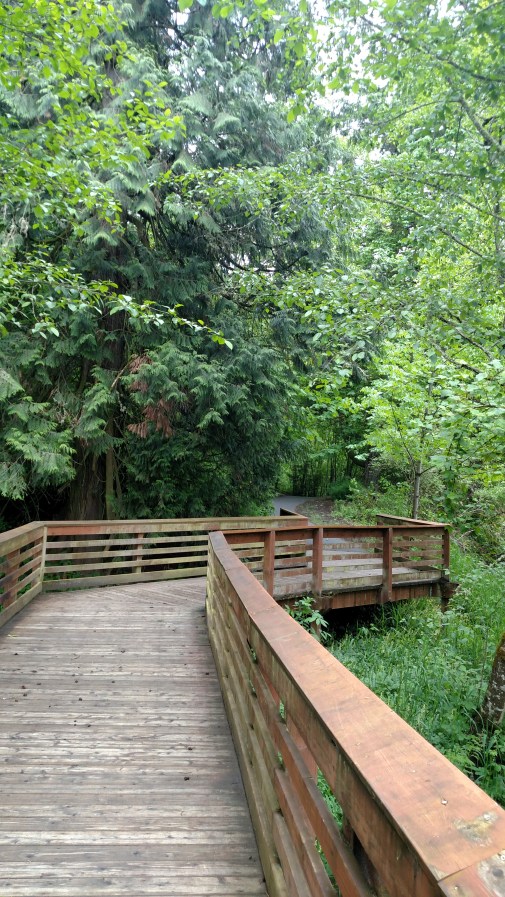 IMG_20170517_115104799