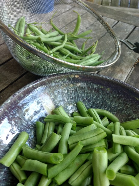 img_20180829_152203728